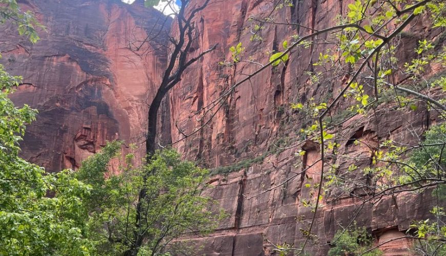 Każda wyprawa smakuje przygodą!